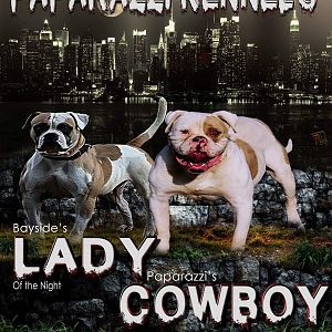 Paparazzi Kennels Breeding's