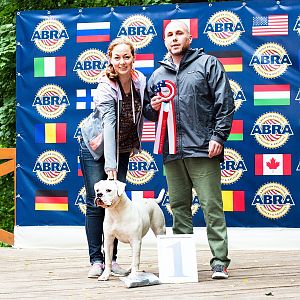 2016 ABRA Russia Championship - Show 1 - Judge Troy Churchill